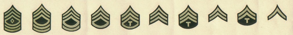insignia
